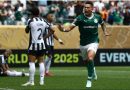 <span style='color:#FFF;font-size:12px;text-transform: uppercase;background-color:#289dcc;'> PREMIO MILLONARIO </span> </br> Fluminense y Palmeiras, los sudamericanos que le sacaron rédito al Mundial de Clubes